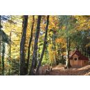 Les cabanes de la Croix couverte